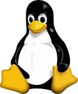 Linux Server